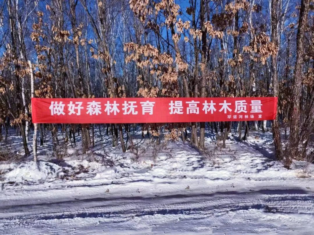 加格达奇林业局罕诺河林场高质量推进森林可持续经营试点工作 - 关注森林