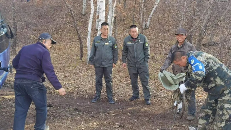 圖片