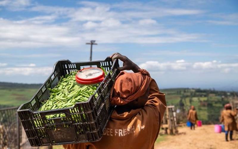 A woman with a crate of snow peas on her shoulders