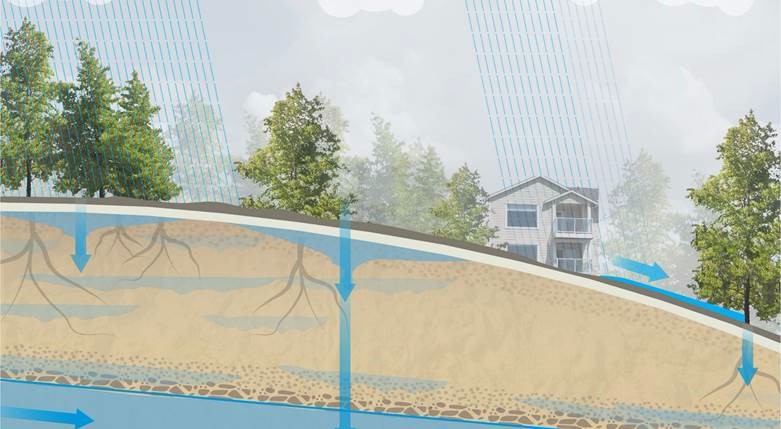 Illustration of rainwater absorbing into the earth.