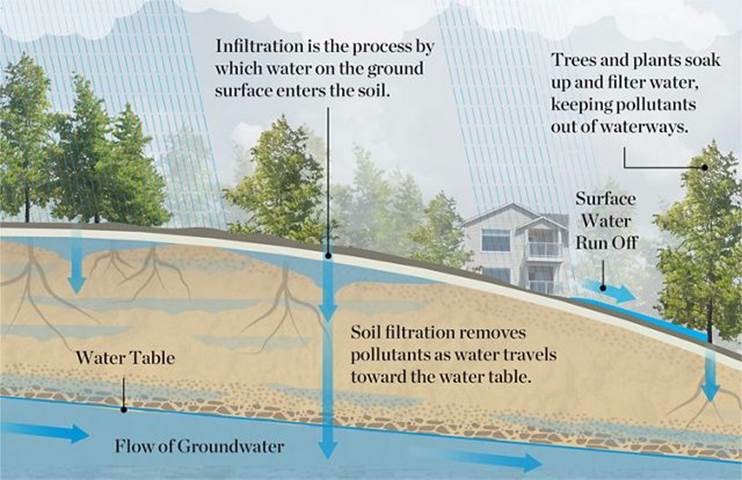 Illustration of rainwater soaking into the earth.