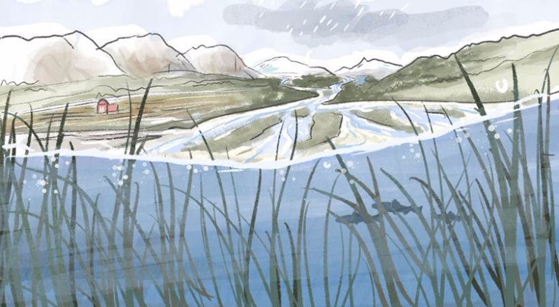 Watercolor illustration of a river running through a landscape and emptying into an estuary.