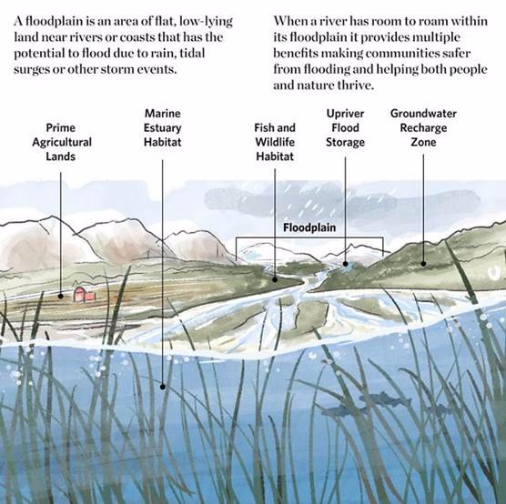 Watercolor illustration of a river running through a landscape and emptying into an estuary.