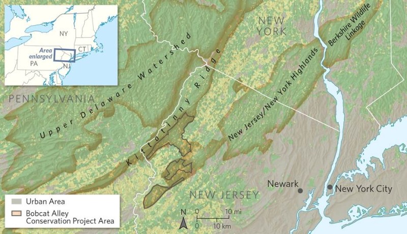 a map of Bobcat Alley in New Jersey.