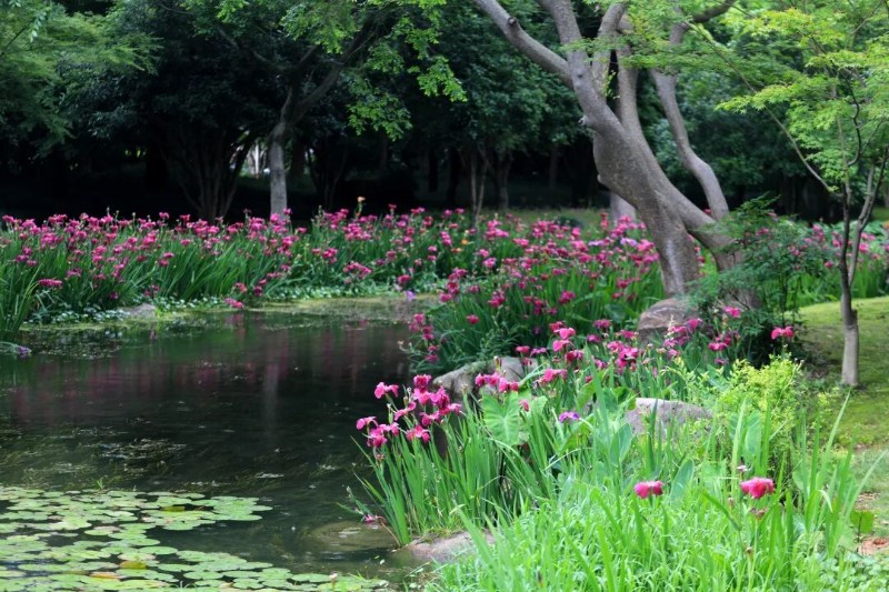 微信图片_20260508173611_250_194.jpg