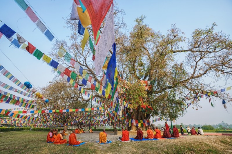 尼泊尔蓝毗尼释迦摩尼诞生地菩提树蓝毗尼已被联合国教科文组织列入世界文化遗产名录。尼泊尔政府对它的修复和建设也十分重视，世界各地的佛教团体也纷纷解囊，使这里成为一座幽静而美丽的园林。