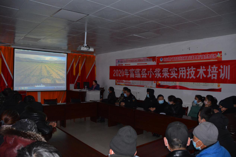 富蕴县自然资源局党组成员、副局长田晓琴主要讲授黑加仑管理技术