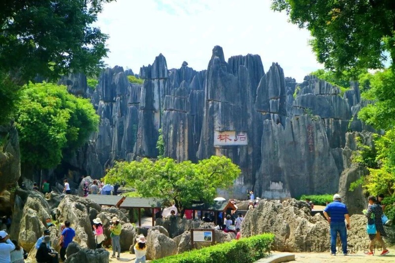 圖片