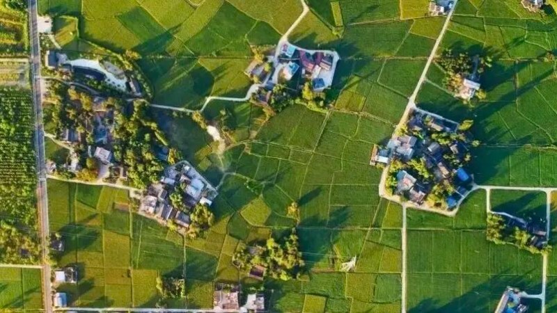 清流林盤院落星羅密布.jpg