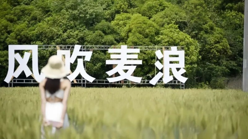 游客在麥田中漫步_副本_副本.jpg