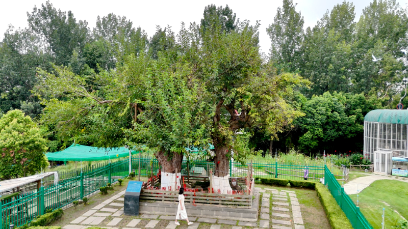 9.5古桑大道(2).png