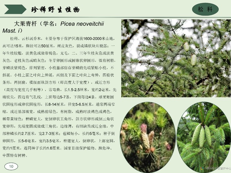 珍稀野生动植物图集_20