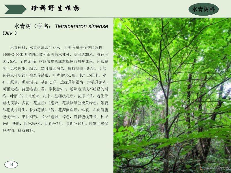 珍稀野生动植物图集_24