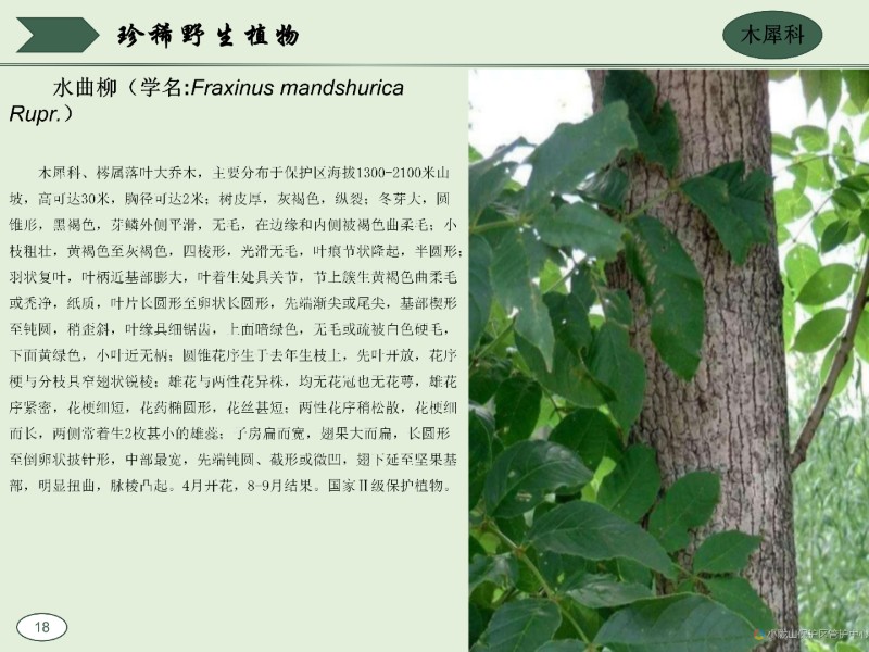 珍稀野生动植物图集_28