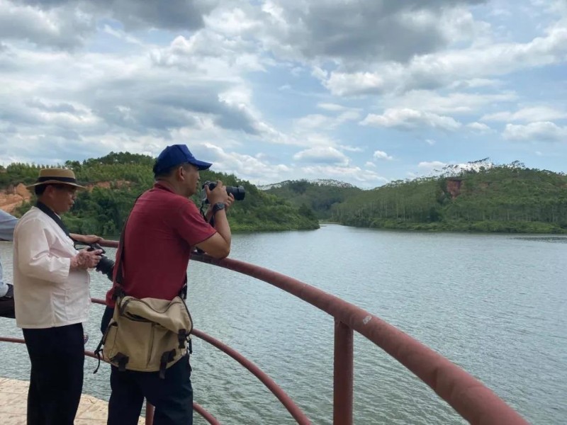 用镜头展现大美苍海-广西梧州苍海国家湿地公园-湿地中国