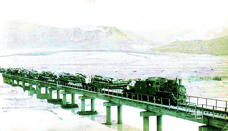 图三  1971年28吨蒸汽机车是木材运输的主要交通工具
