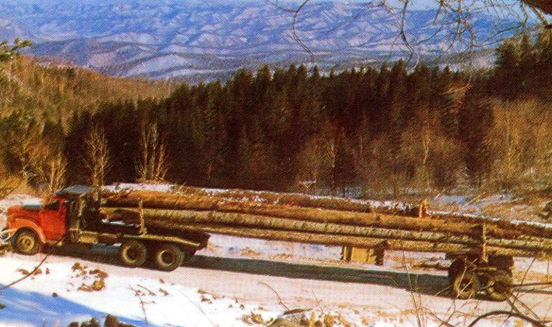 图四  1989年，汽车成立木材运输的主要载具