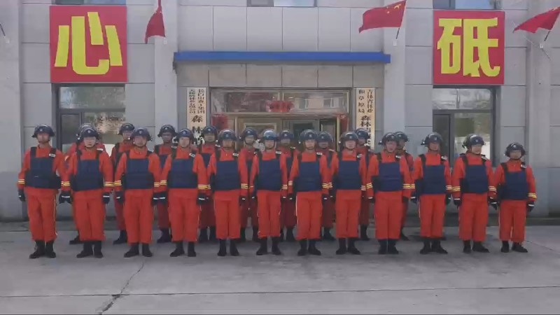 視頻預(yù)覽圖