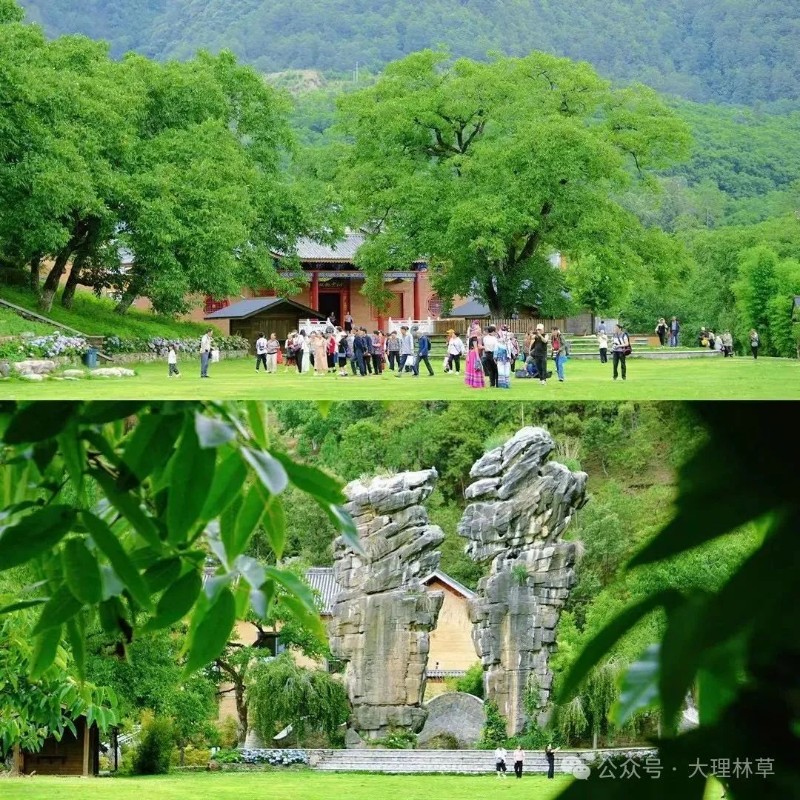 圖片