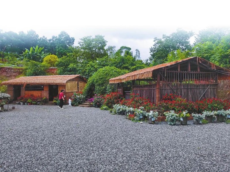 前來康養(yǎng)旅居的張阿姨帶著孩子在景彝源莊苑賞花玩耍。.jpg
