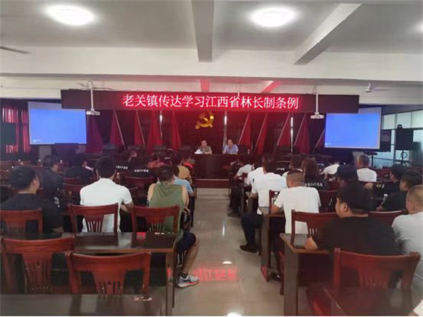 老关镇开展江西省林长制条例学习宣传活动2