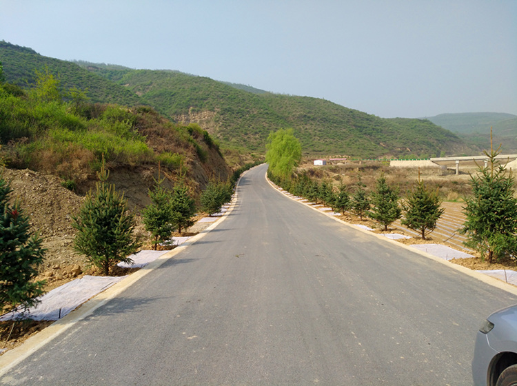 精心实施乡村道路绿化,努力改善乡村人居环境