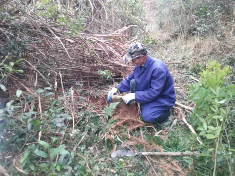 扶貧基地-宜黃縣簾前村3