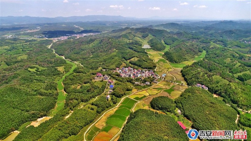 7月25日,在永丰县鹿冈乡九都坑村航拍的绿色家园.