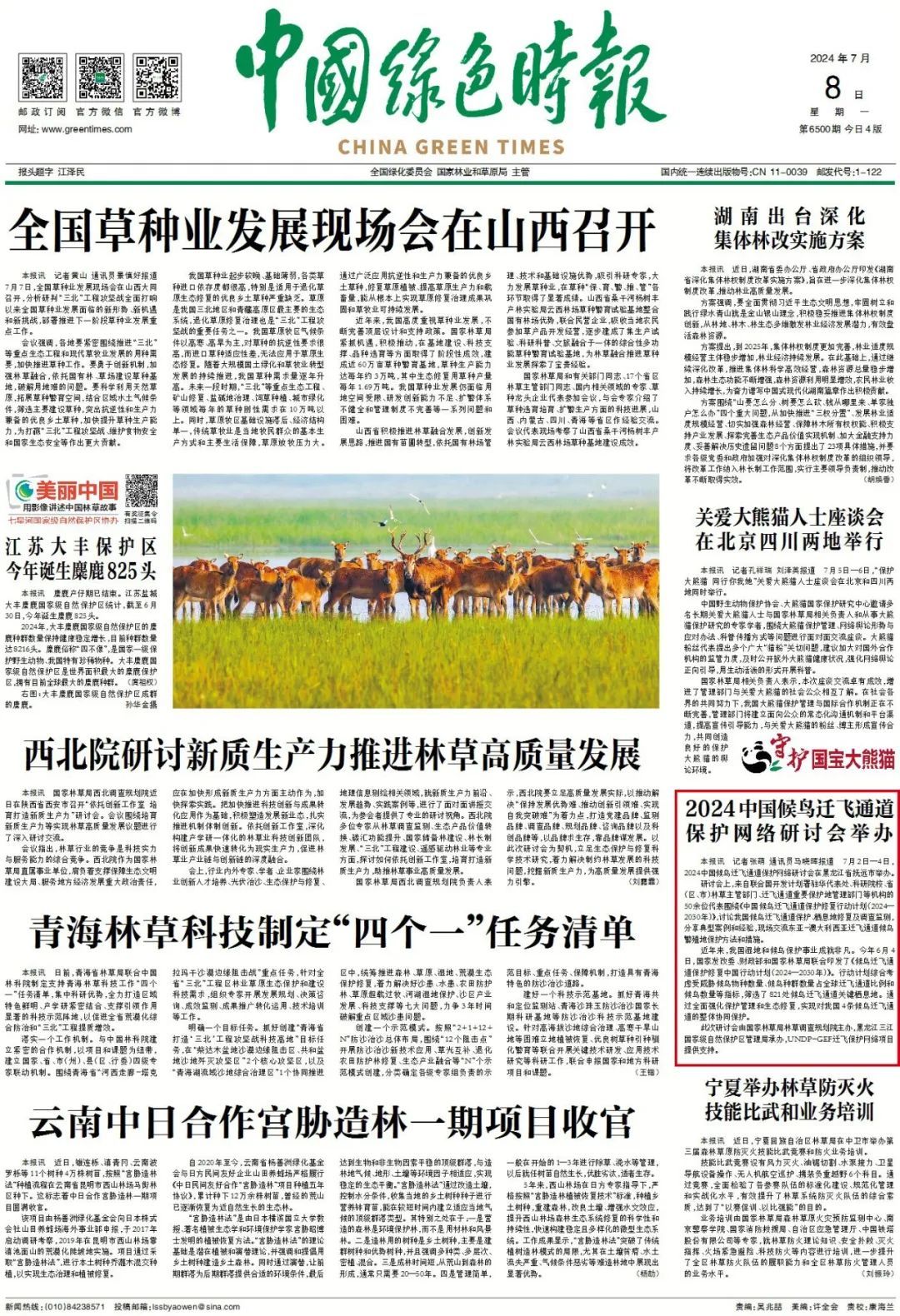 2024中国候鸟迁飞通道保护网络研讨会举办 - 关注森林
