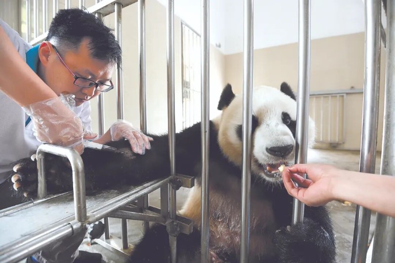 圖片
