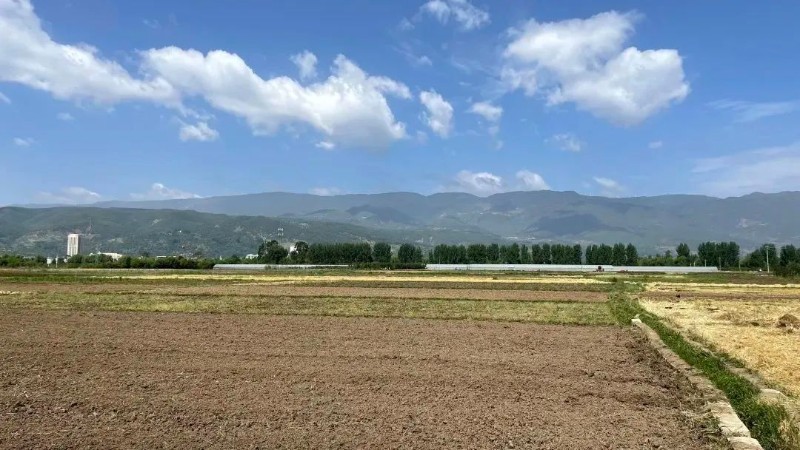 微信圖片_2025-08-20_112306_675.jpg