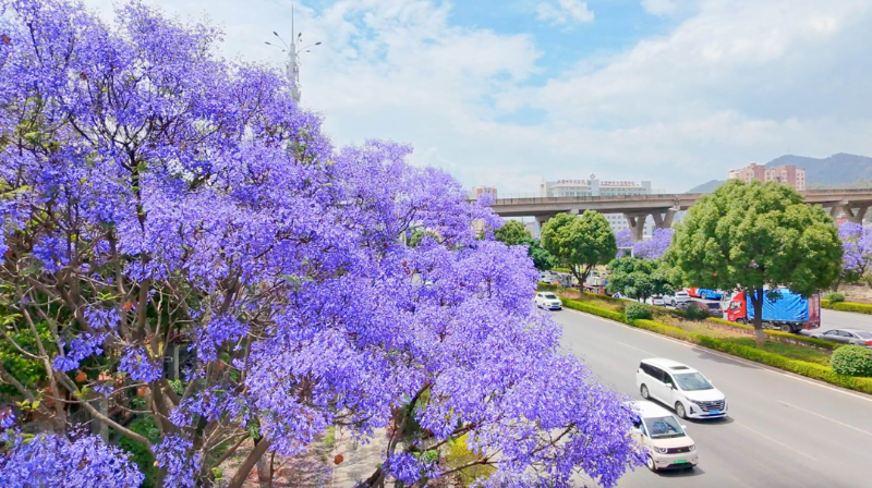 截屏2025-05-15 下午4.50.38.png