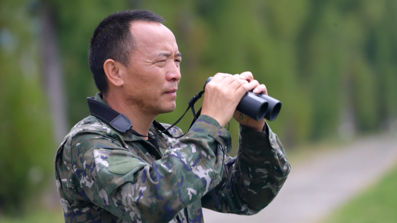 洱源湿地迎来今冬首批迁徙候鸟 - 关注森林