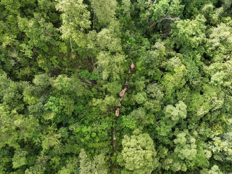 DJI_0424_副本.jpg