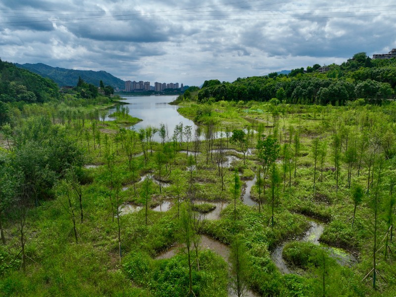 1.小微湿地