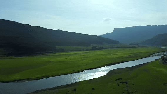 6月25日.gif