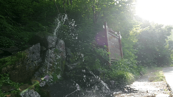 6月25日(14).gif