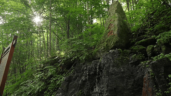 6月25日(13).gif