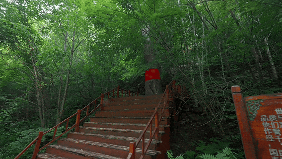 6月25日(11).gif
