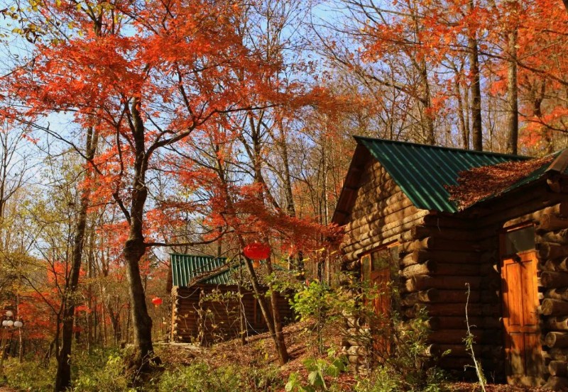 林间小屋.JPG