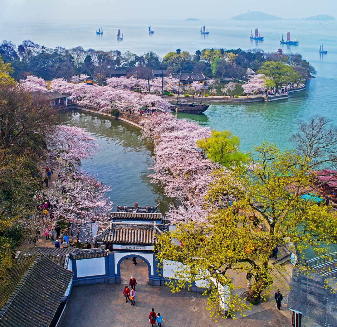 感知太湖胜景 | 梅梁湖景区 - 关注森林
