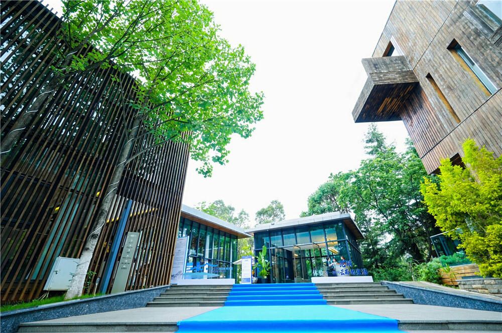 “旅居云南” 自在昆明 有一种目的地叫酒店 - 关注森林