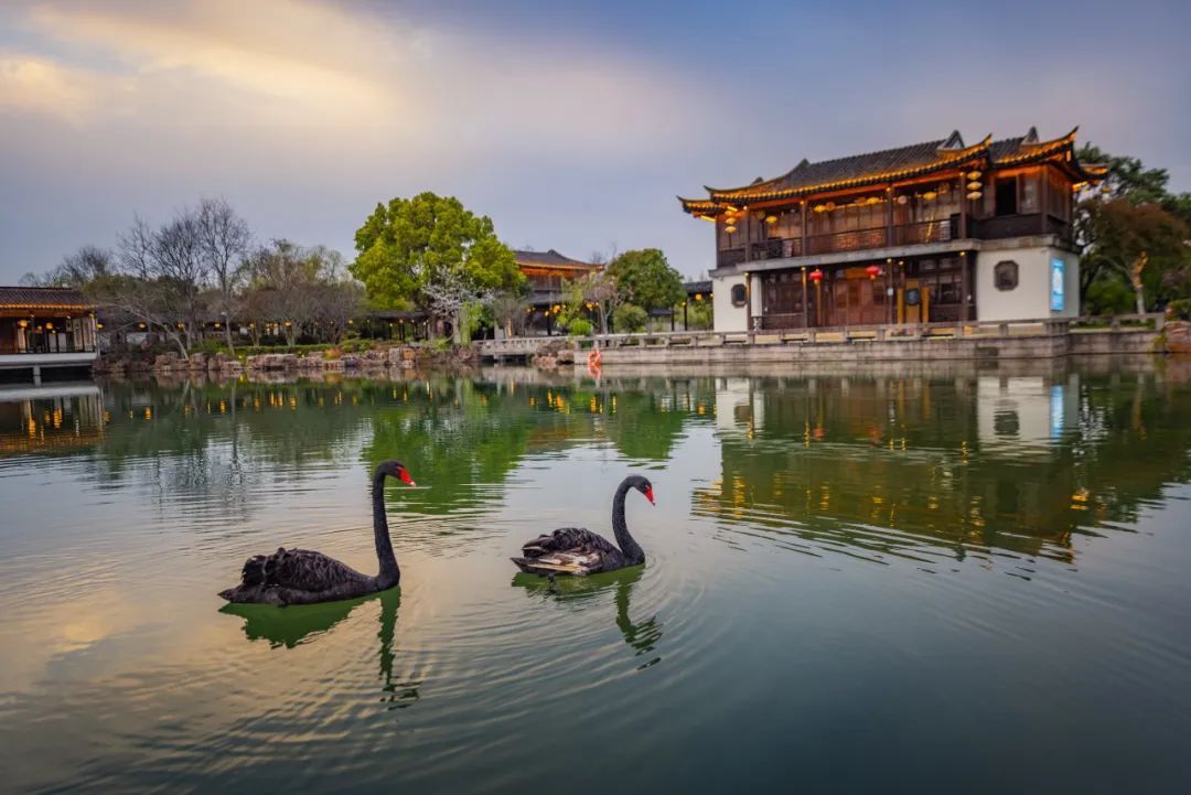 感知太湖胜景 | 虞山景区 - 关注森林
