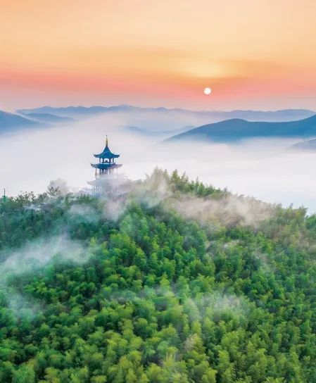 感知太湖胜景 | 阳羡景区 - 关注森林