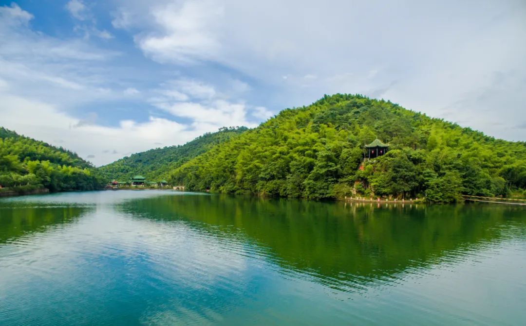 感知太湖胜景 | 阳羡景区 - 关注森林