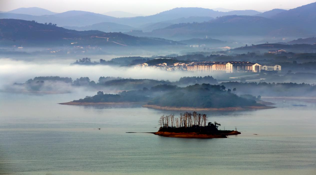 感知太湖胜景 | 阳羡景区 - 关注森林