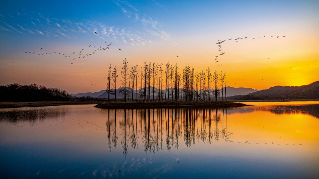 感知太湖胜景 | 阳羡景区 - 关注森林