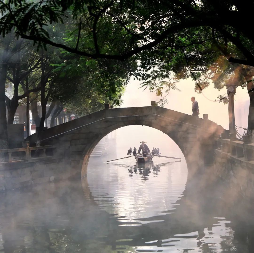 感知太湖胜景 | 同里景区 - 关注森林