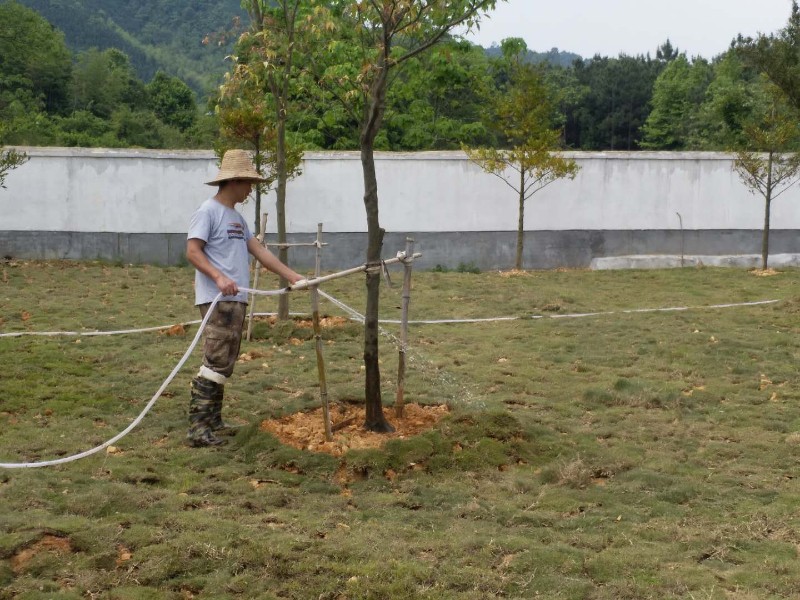 安福县明月山林场为新栽绿化苗木浇水抗旱