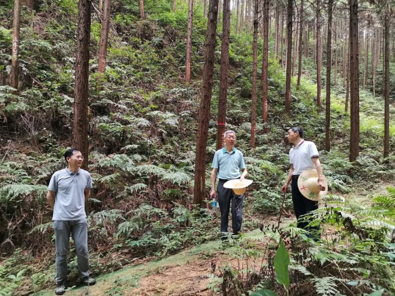 江西省林科院专家到明月山林场开展科技指导